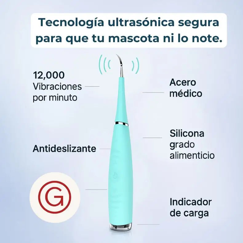 Encabezado