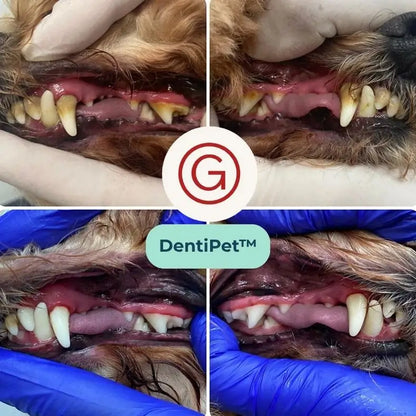 DentiPet™ – Reparador Bucal Ultrasónico para Mascotas