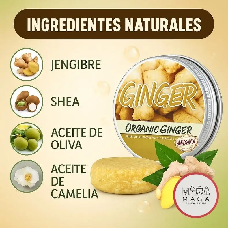 Encabezado