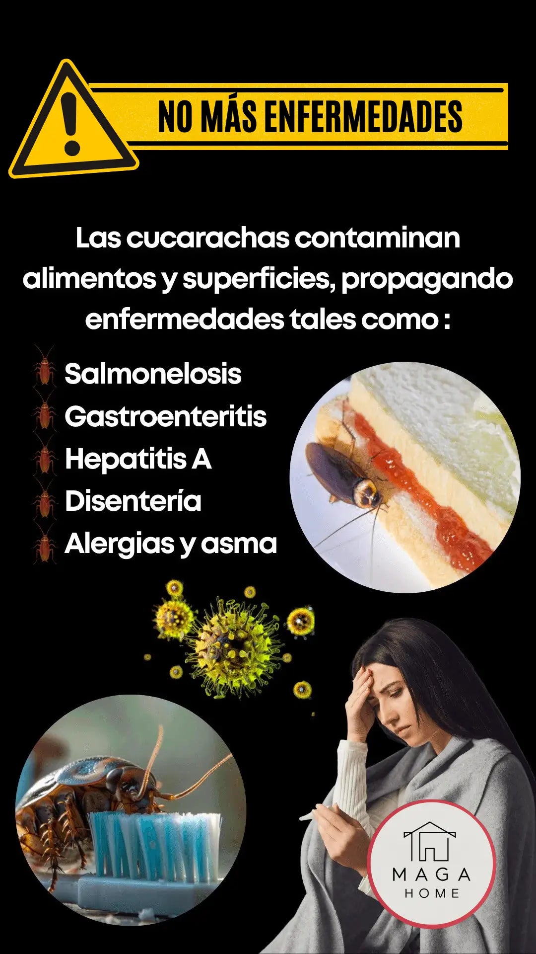 Encabezado