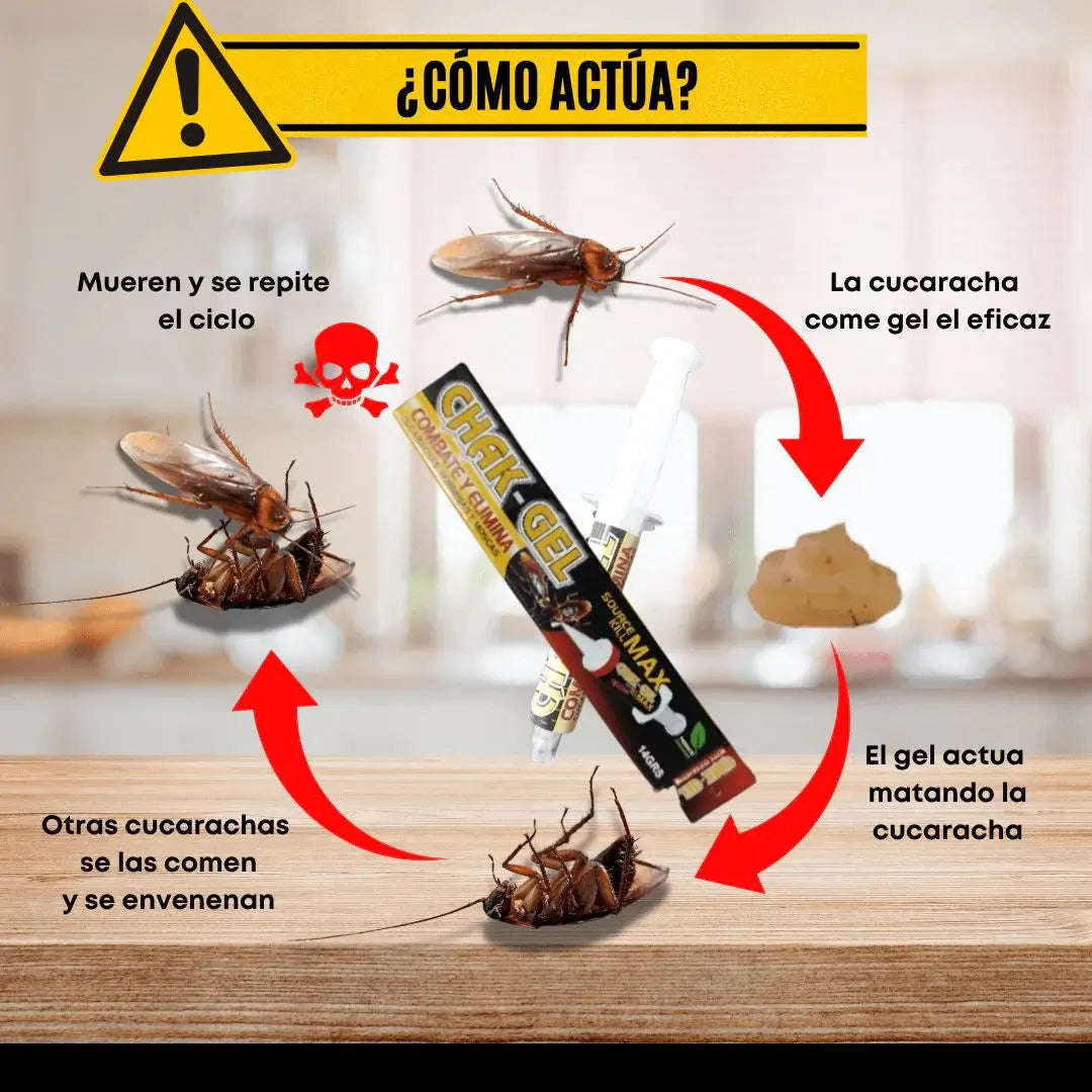 Encabezado
